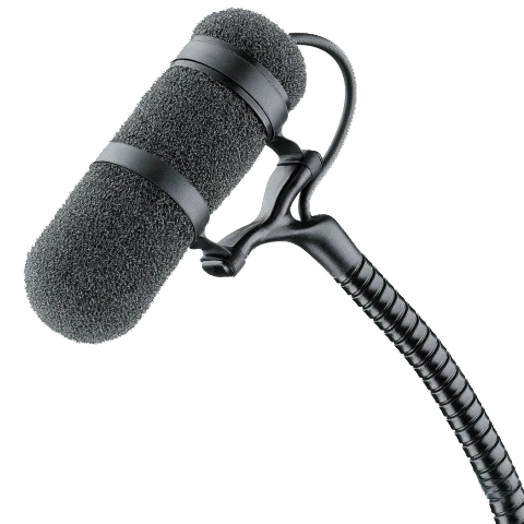 Микрофон для записи инструментов DPA VO4099V ;?>